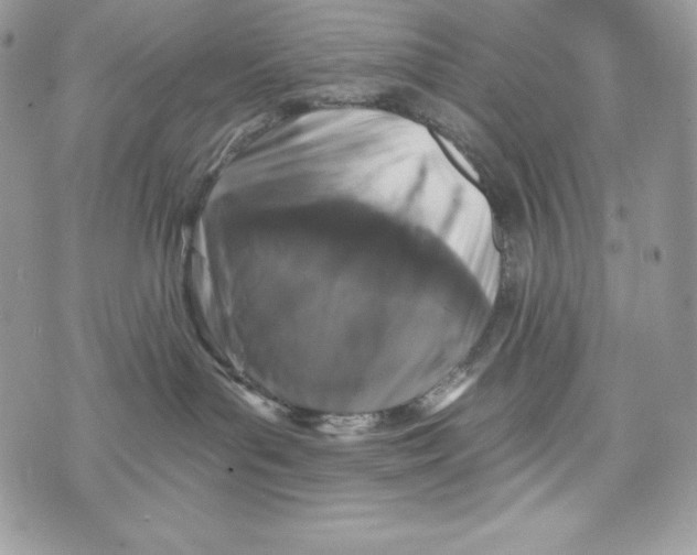 X0000071360143200607212132