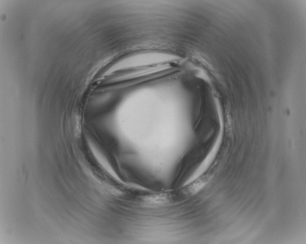 X0000071360164200607212131