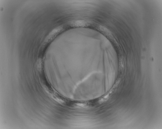 X0000071360167200607212131
