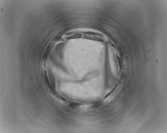 X0000071360172200607212131