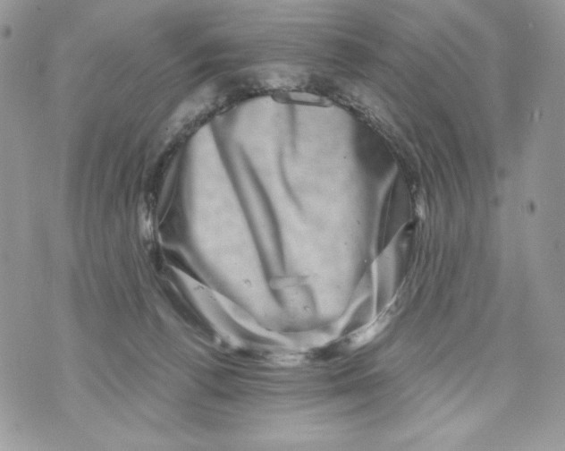 X0000071360176200607212132
