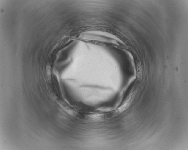 X0000071360184200607212132