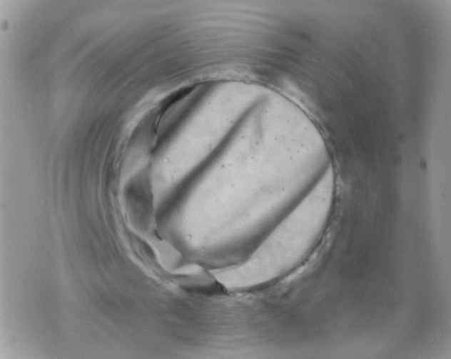 X0000071360193200607212131