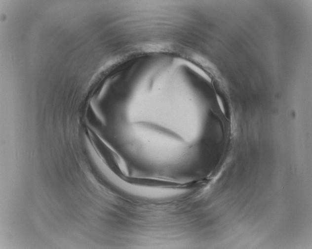 X0000071360201200607212131