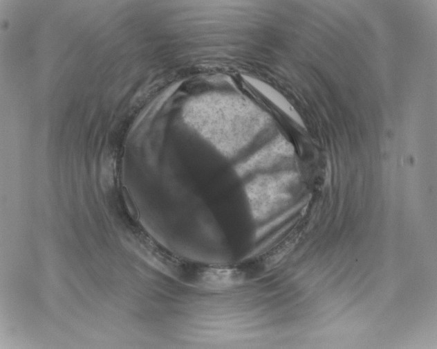 X0000071360227200607212130