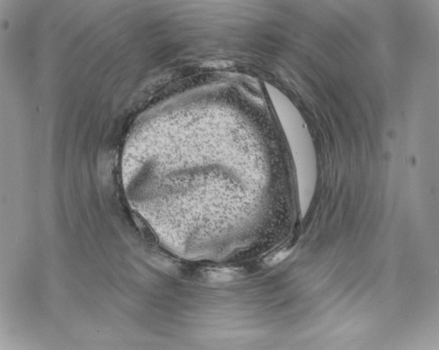 X0000071360229200607212130