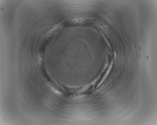 X0000071360235200607212130