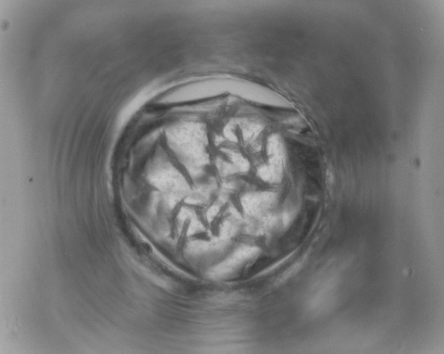 X0000071360246200607212130