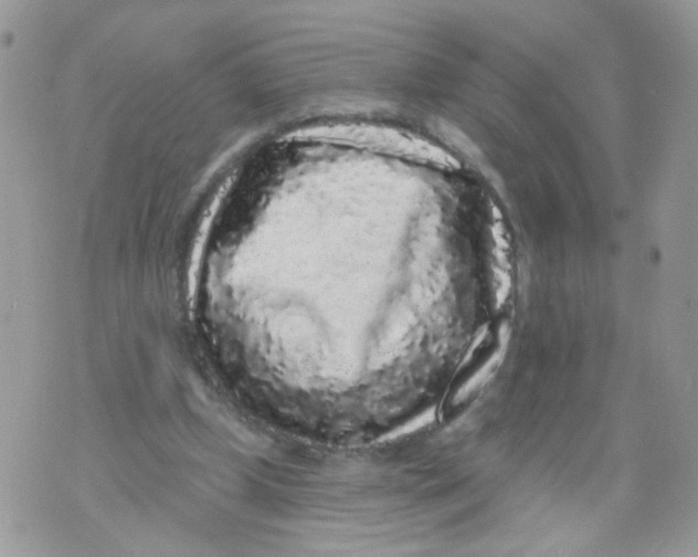 X0000071360249200607212130