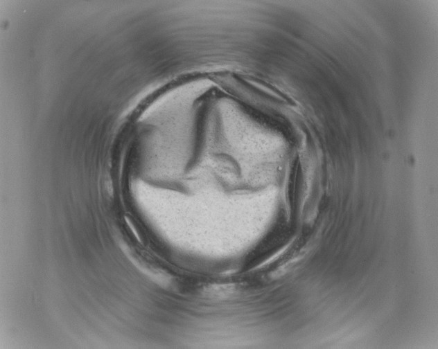 X0000071360252200607212130