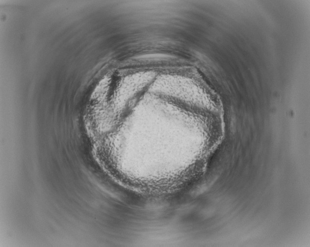 X0000071360258200607212130