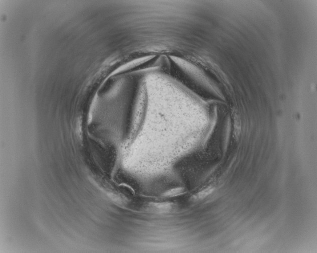 X0000071360260200607212130