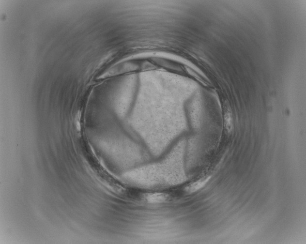 X0000071360264200607212130