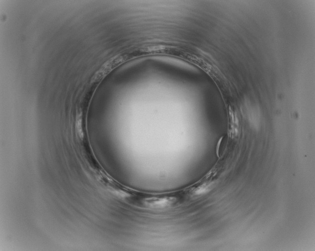 X0000071360267200607212130