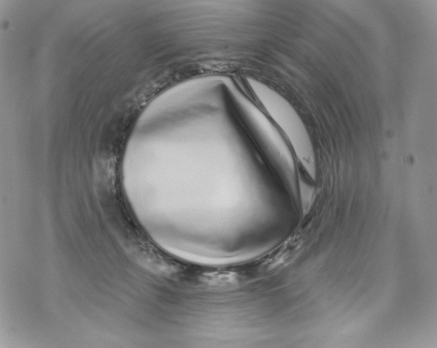 X0000071360271200607212130