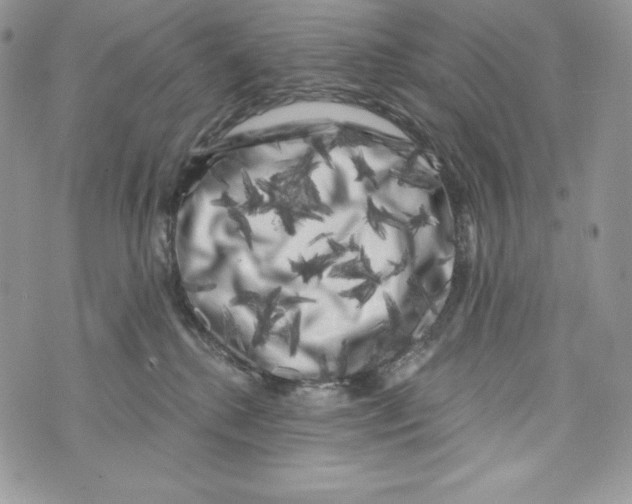 X0000071360280200607212130