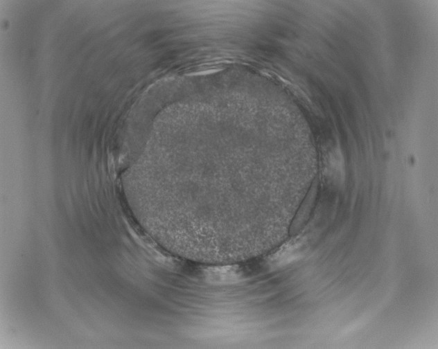X0000071360281200607212130
