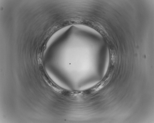 X0000071360285200607212130