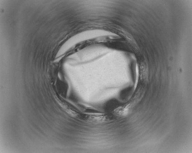X0000071360329200607212129