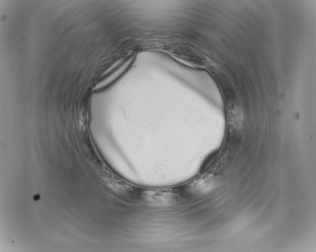 X0000071360331200607212129