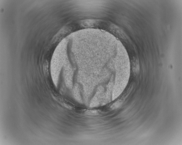 X0000071360332200607212129