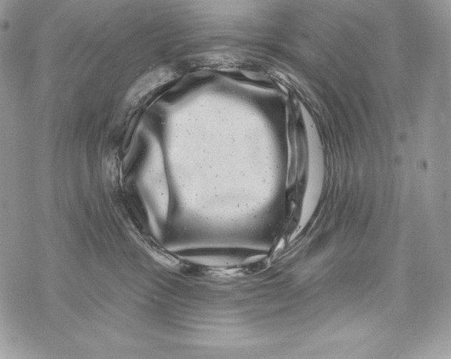 X0000071360333200607212129