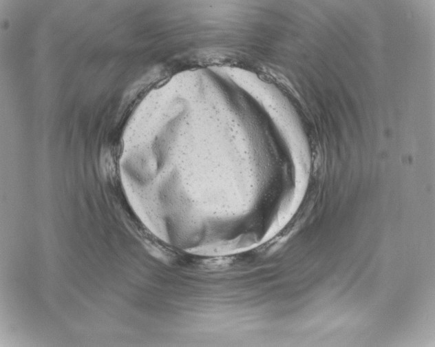X0000071360335200607212129