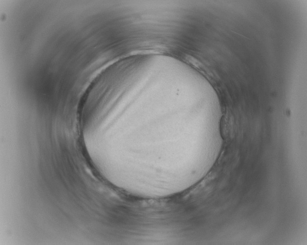 X0000071360338200607212128
