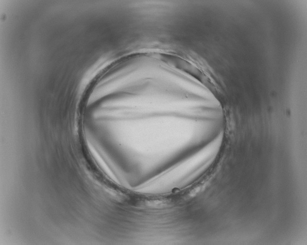 X0000071360344200607212128