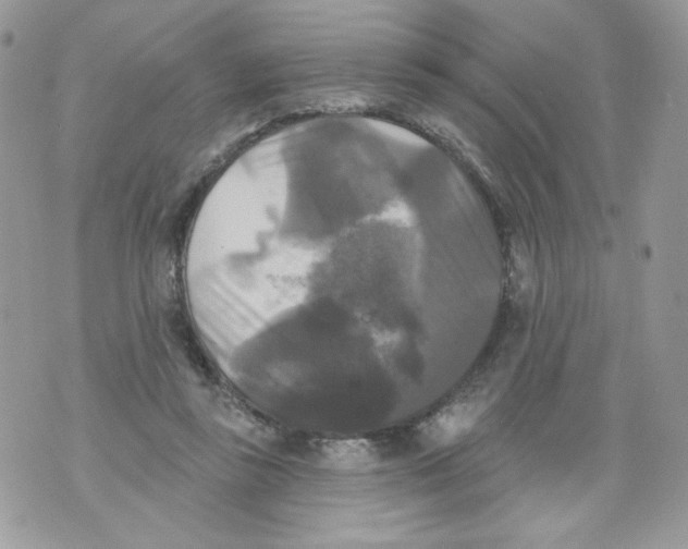 X0000071360355200607212128