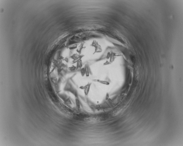 X0000071360356200607212128