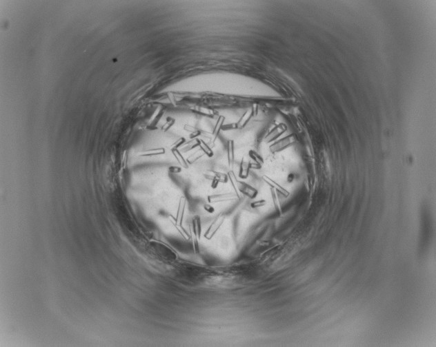 X0000071360364200607212128