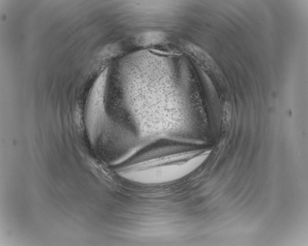 X0000071360380200607212129