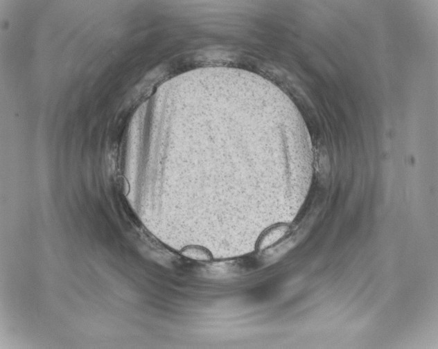 X0000071360382200607212129