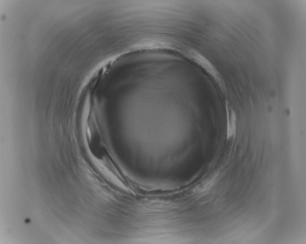X0000071360387200607212128