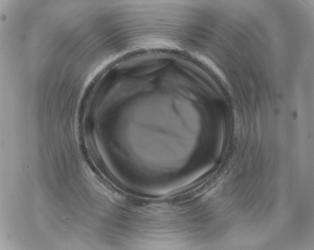 X0000071360391200607212128