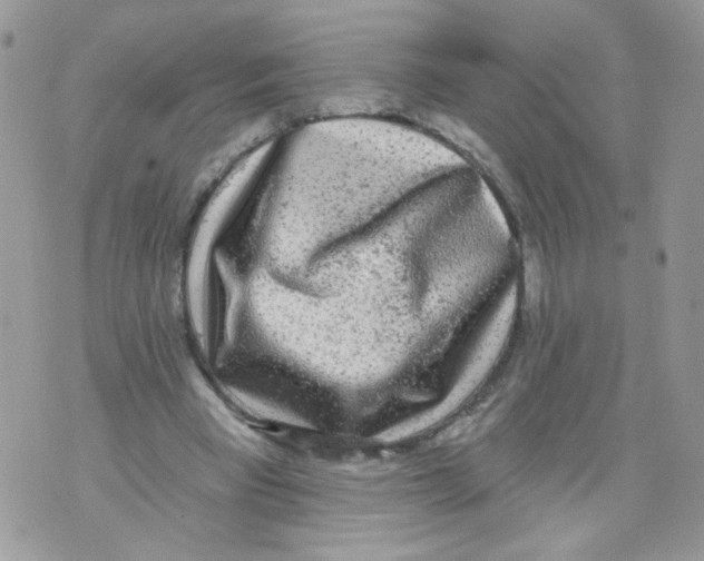 X0000071360393200607212128