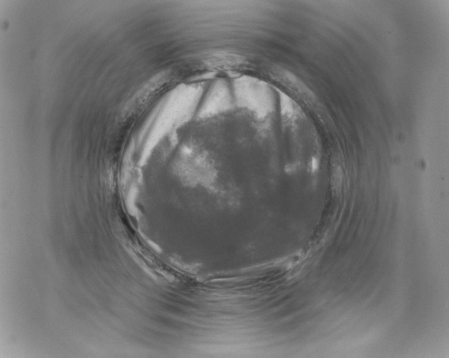 X0000071360405200607212128