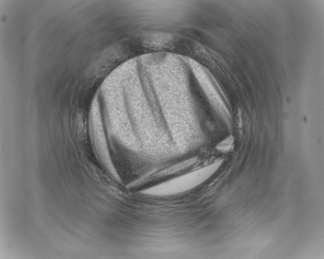 X0000071360420200607212127