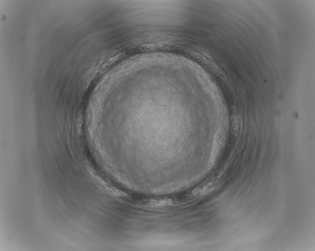 X0000071360458200607212127