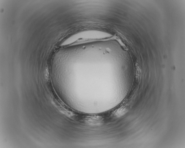 X0000071360459200607212127
