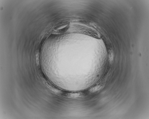 X0000071360462200607212127