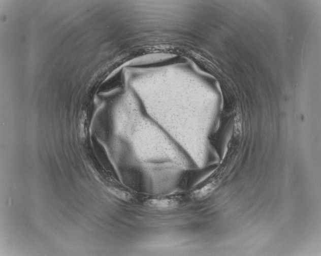 X0000071360464200607212127