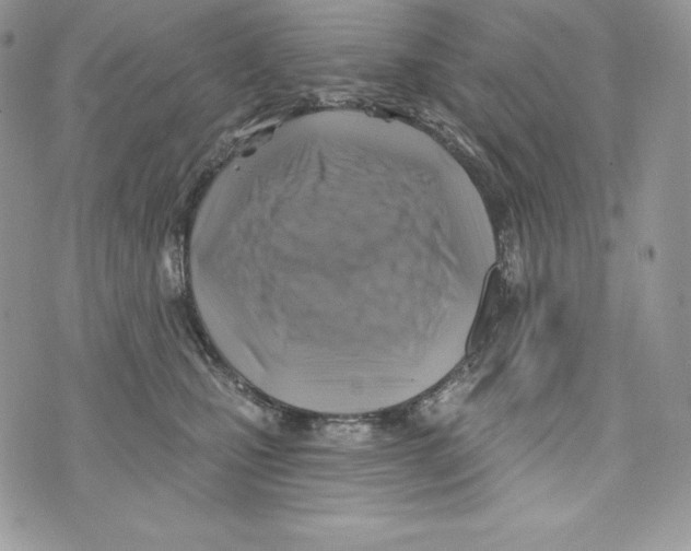 X0000071360471200607212127