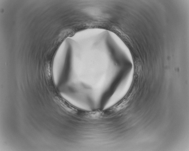 X0000071360479200607212127