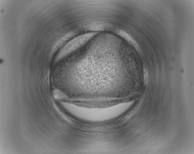 X0000071360493200607212126