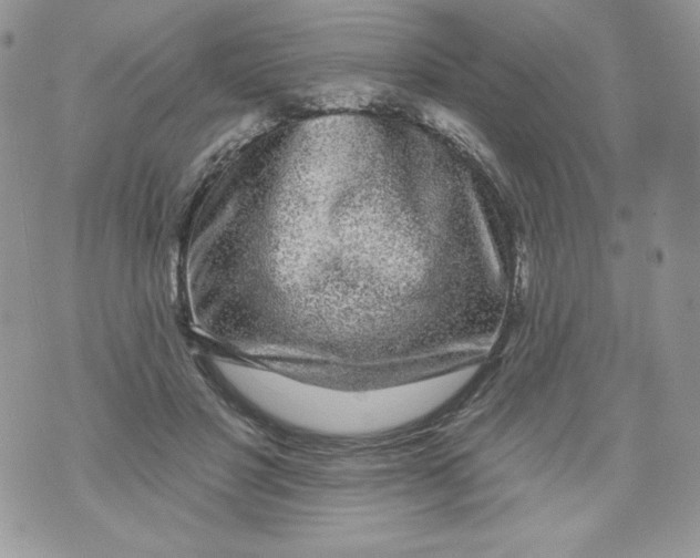 X0000071360501200607212126