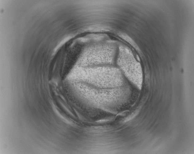X0000071360530200607212125