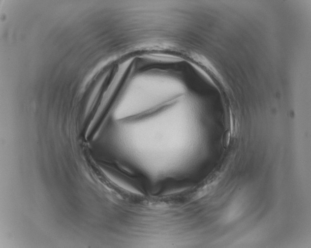 X0000071360531200607212125