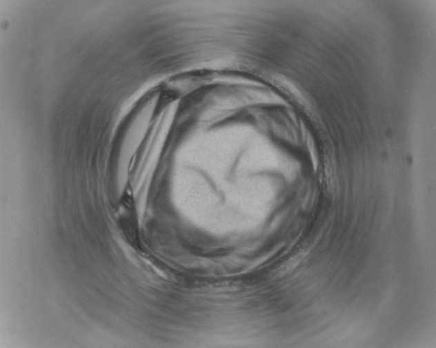 X0000071360532200607212125